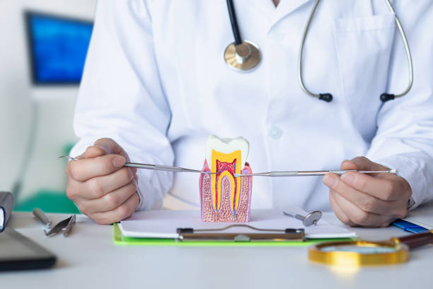 Best Emergency Dental Care for Broken or Chipped Teeth in Elkhart, KS